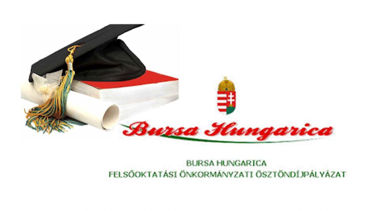 bursa