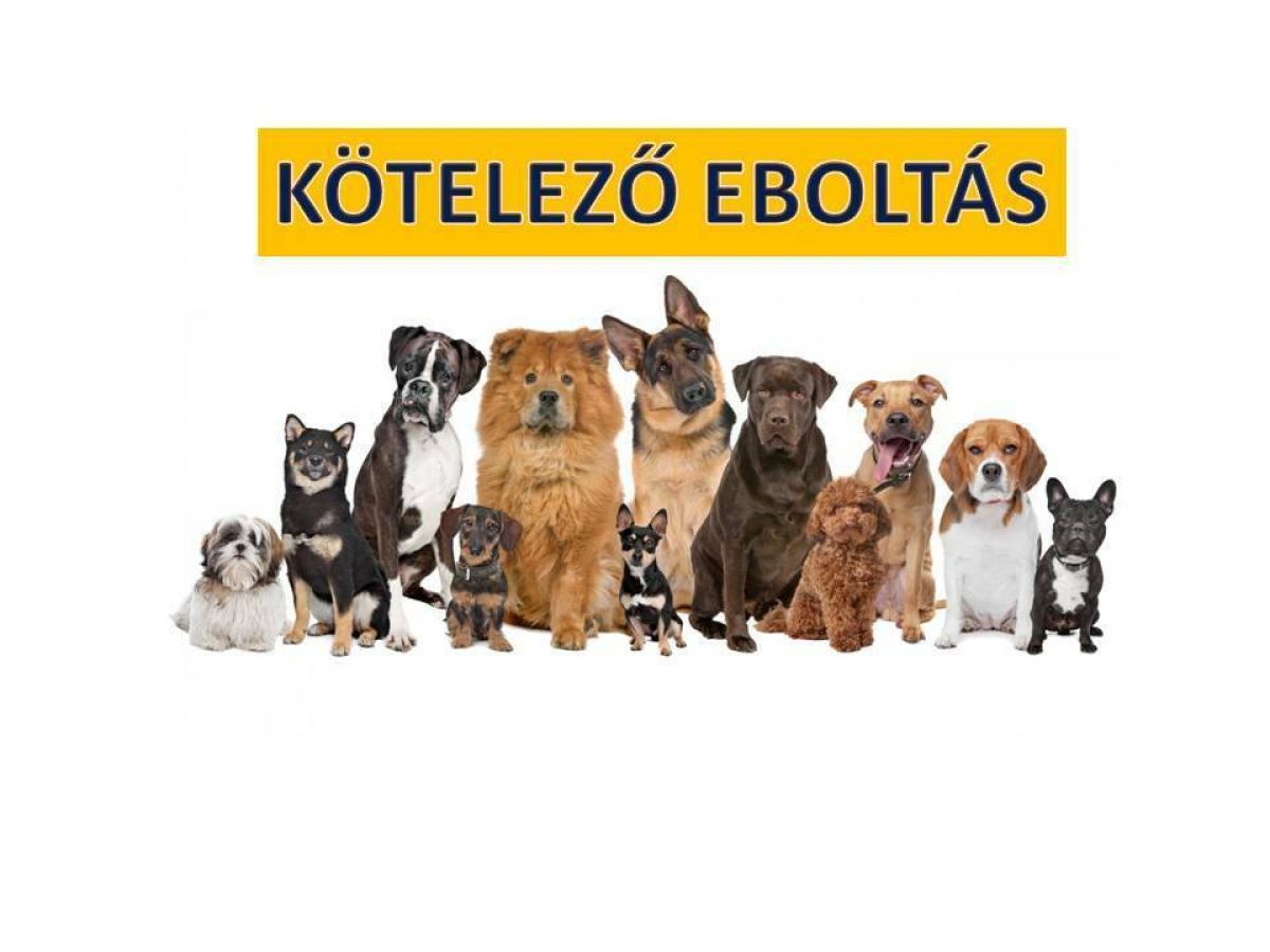 Tájékoztató eboltásról